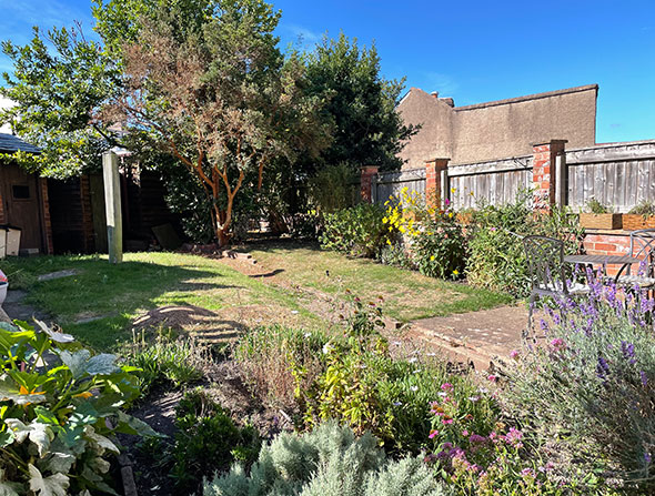 Garden